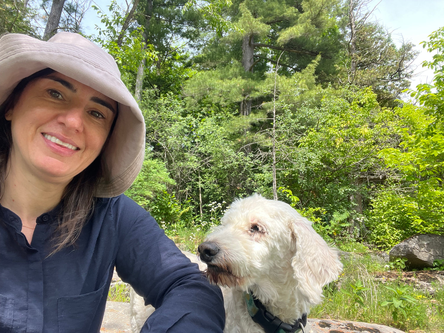 Close-up of a white dog with a forest background