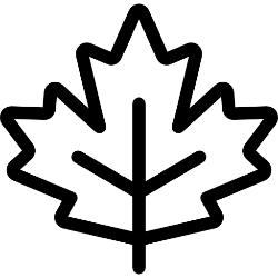 Black outline of a maple leaf on a white background